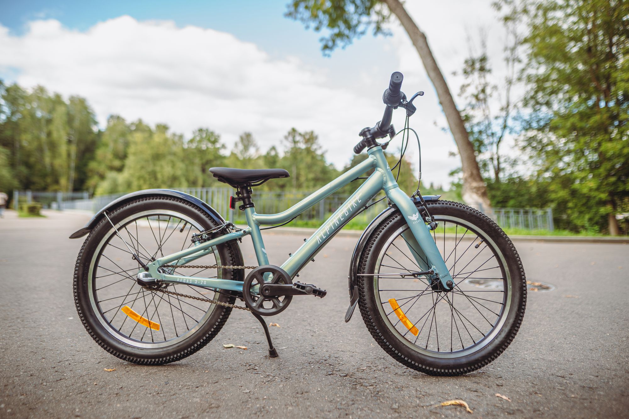 Велосипед детский Alpinebike Pegas 3-20, один размер, цвет Бирюзовый