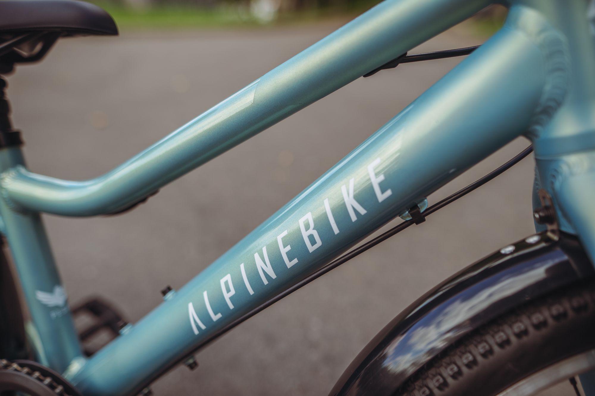 Велосипед детский Alpinebike Pegas 3-20, один размер, цвет Бирюзовый