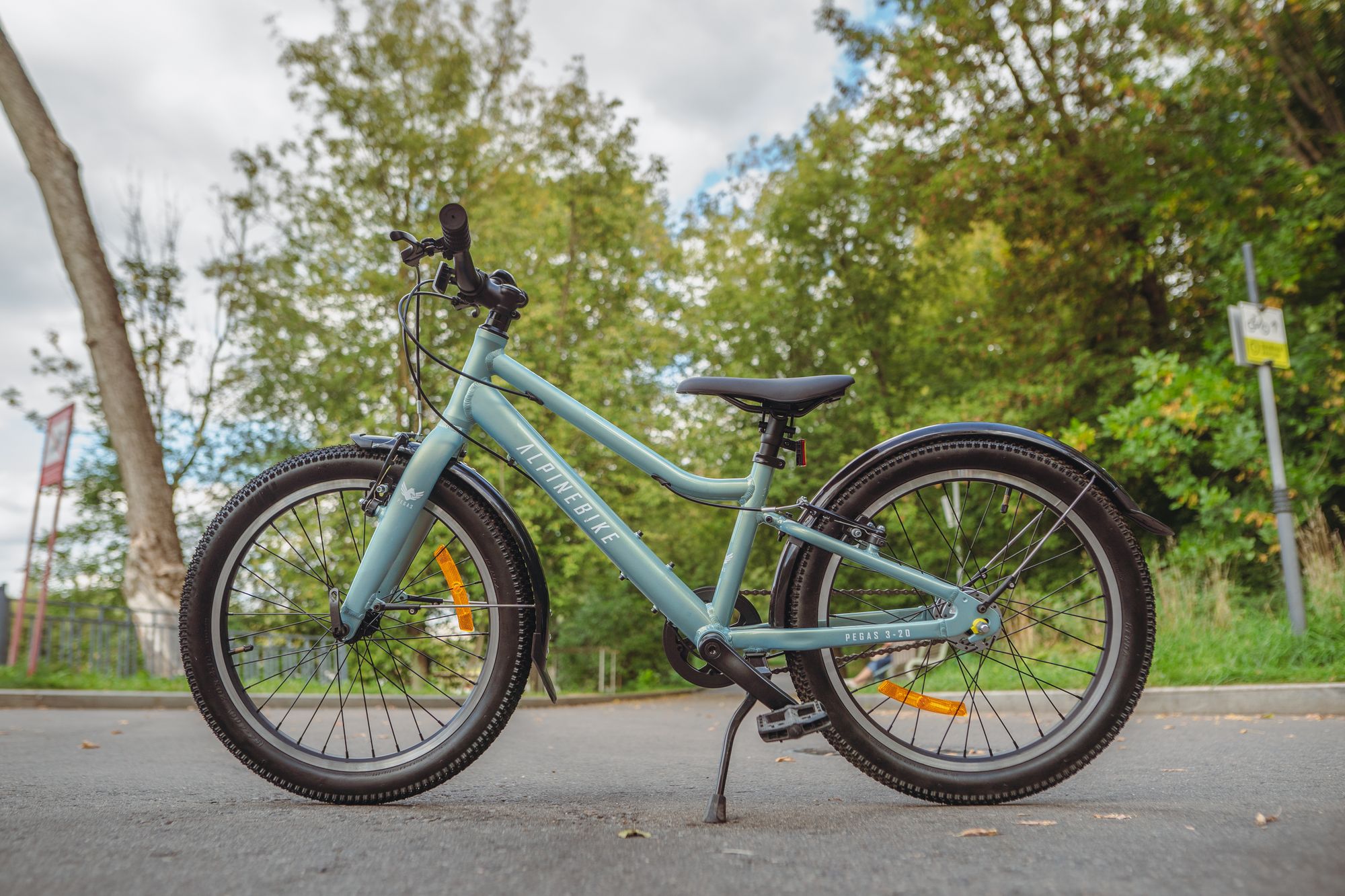 Велосипед детский Alpinebike Pegas 3-20, один размер, цвет Бирюзовый