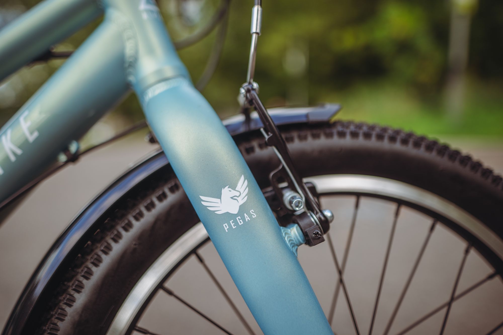 Велосипед детский Alpinebike Pegas 3-20, один размер, цвет Бирюзовый