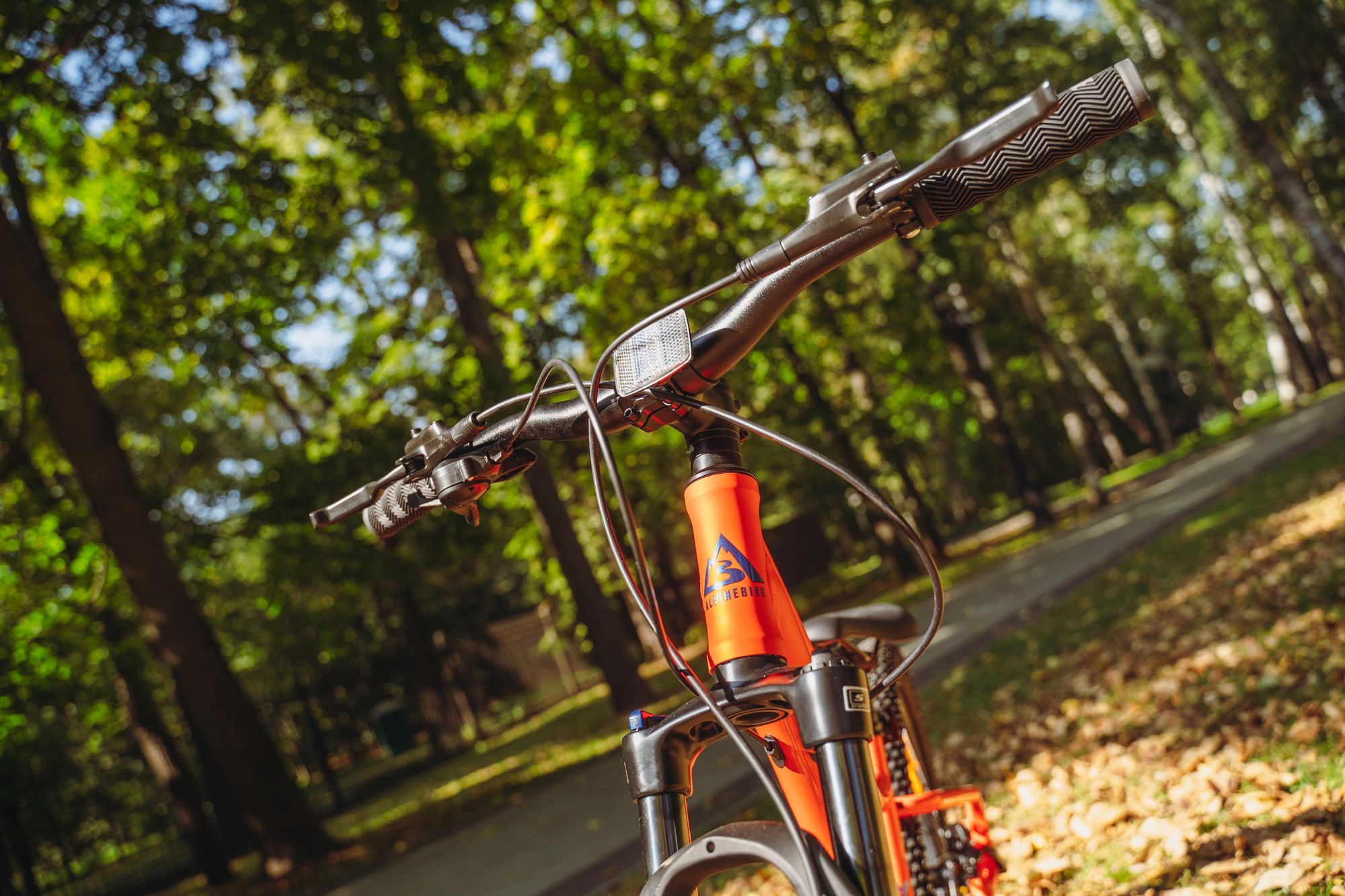 Велосипед подростковый Alpinebike Pegas 7-24, один размер, цвет Оранжевый