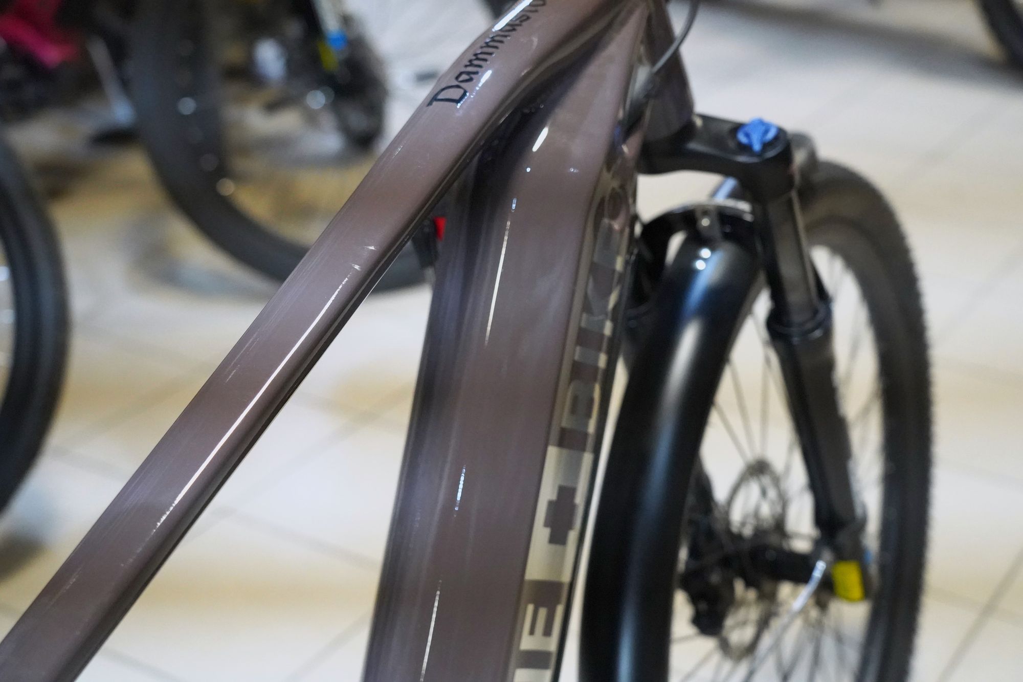 Велосипед электрогибрид Alpinebike Dammastock MTB+ размер L цвет Темный шоколад