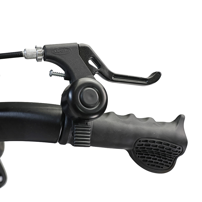 Детский Велосипед MAXISCOO  "Space" Deluxe 18", Черный Аметист, С Дисковыми Тормозами (2023)