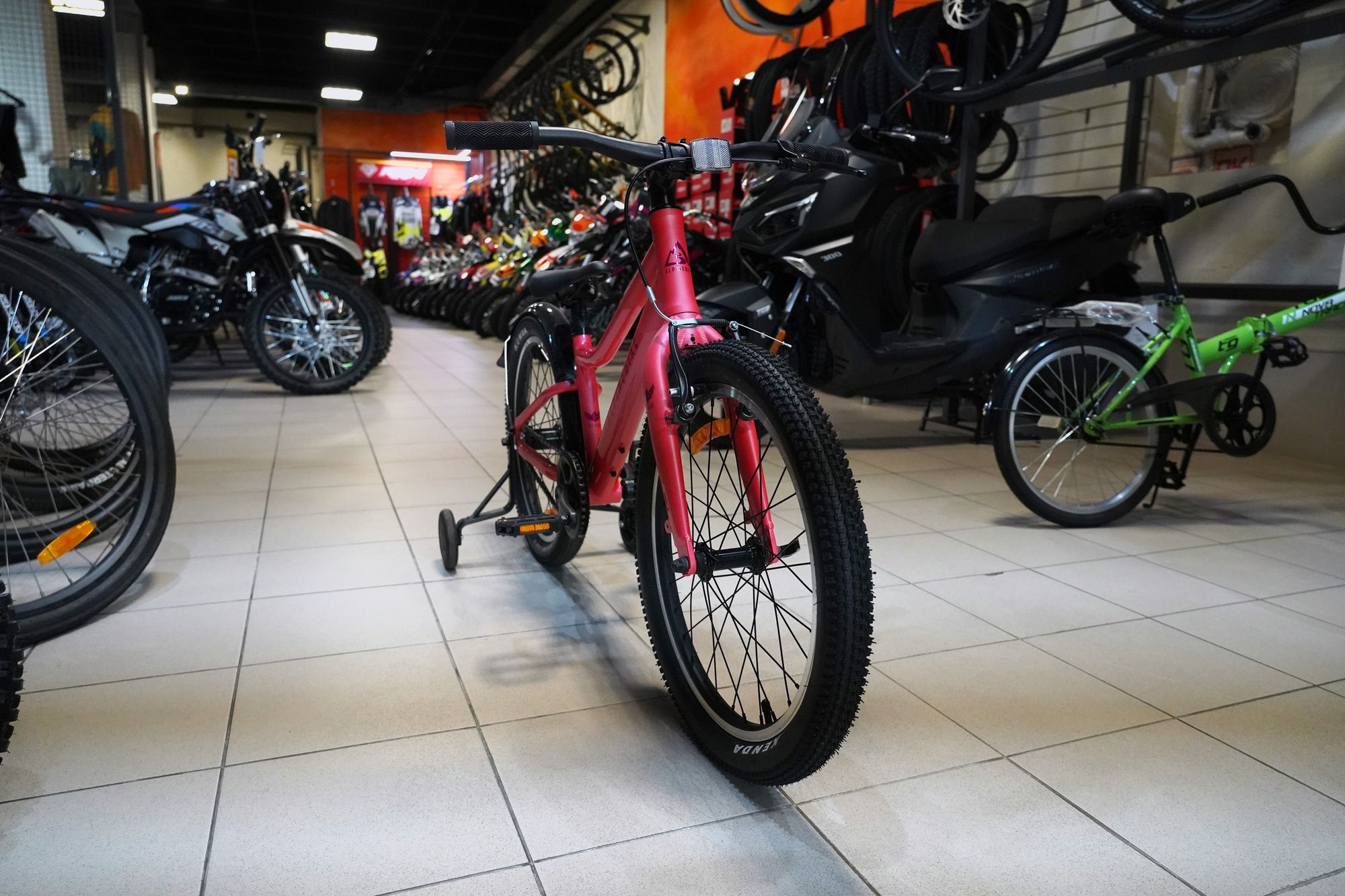 СЭМПЛ 26 Велосипед детский  Alpinebike Pegas 1-20 цвет 2