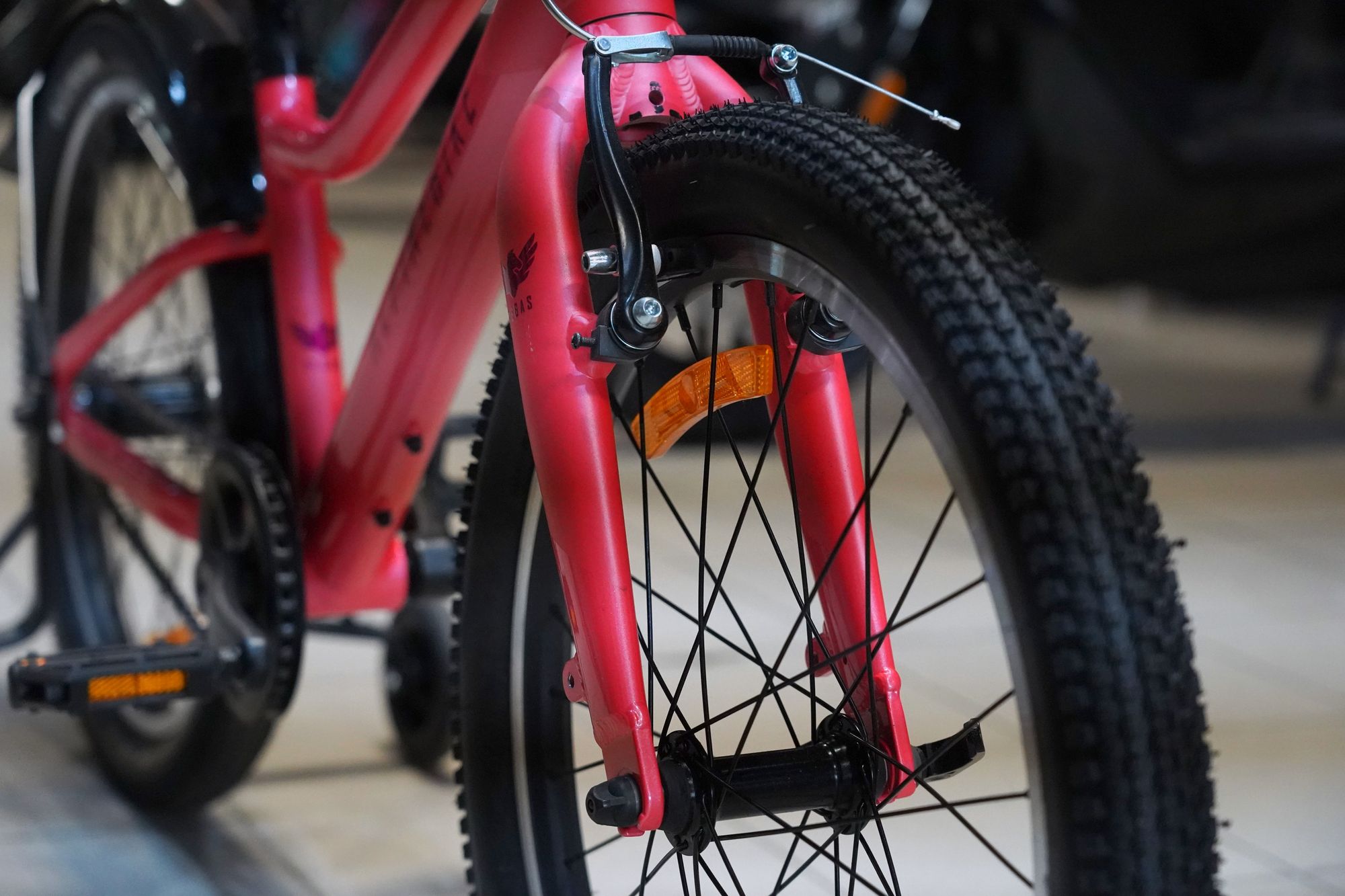 СЭМПЛ 26 Велосипед детский  Alpinebike Pegas 1-20 цвет 2