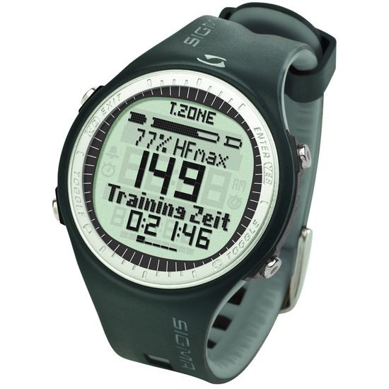 Пульсометр SIGMA PC 25.10 Серый