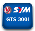 GTS 300i