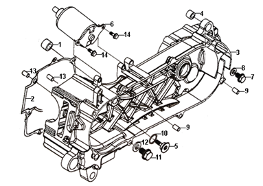 Левая половина Картера