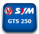 GTS 250