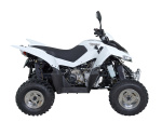 QR 300 IRS