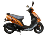 EuroX 100