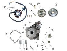 Подбор запчастей Сборка крышки магнето TY250-S Двигатели