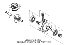 Подбор запчастей Шатуны в сборе ZS165FMM (CB250D-G) [30.123.0512] Двигатели
