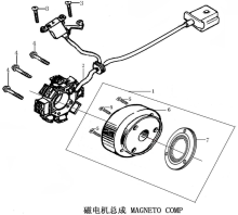 Подбор запчастей Генератор ZS174MN-3 (CBS300) [30.124.0100] Двигатели