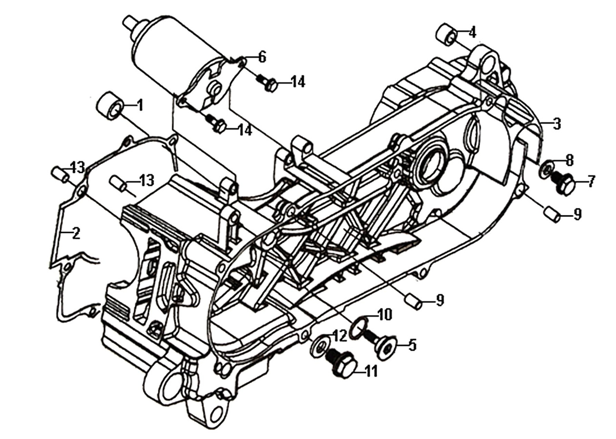 Левая половина Картера