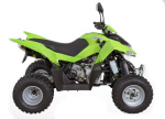 ATV 300