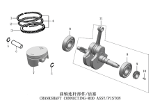 Подбор запчастей CRANKSHAFT CONNECTING-ROD ASSY/PISTON ZS172FMM-3A (CB250-F) [30.123.1500] 147 Двигатели