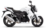 Wolf 250