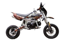 Подбор запчастей EVO 12-10 (101020011, 101020025) EVO 110 BSE